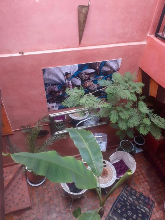 Riad Hanafi Marakeş Dış mekan fotoğraf