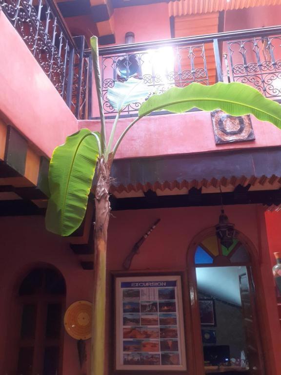 Riad Hanafi Marakeş Dış mekan fotoğraf